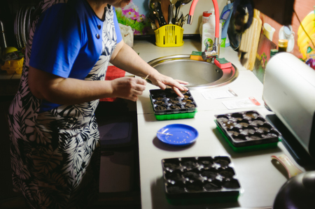 planting seeds at home in special containers. woman in the kitchen plants plantsの写真素材