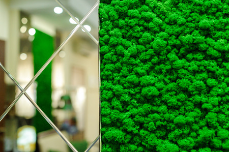 decorative moss for interior decoration. office style, interior design elementsの写真素材