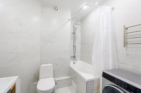 interior apartment room bathroom, sink, decorative elements, toilet. WC, sanitary unit, wash room