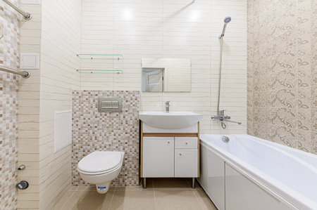 interior apartment room bathroom, sink, decorative elements, toilet. WC, sanitary unit, wash room