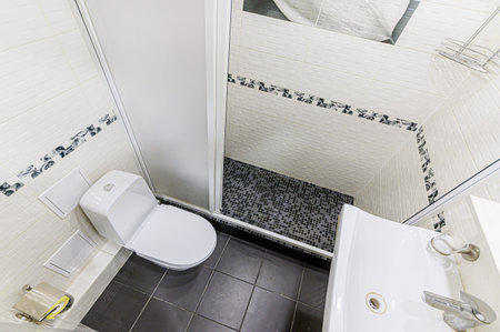 interior apartment room bathroom, sink, decorative elements, toilet. WC, sanitary unit, wash room