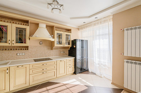interior apartment room, sink, decorative elements, toilet. WC, sanitary unit, wash room