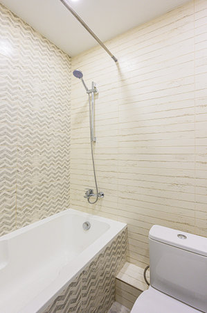 interior apartment room bathroom, sink, decorative elements, toilet. WC, sanitary unit, wash room