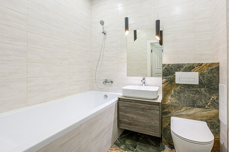 interior apartment room bathroom, sink, decorative elements, toilet. WC, sanitary unit, wash room