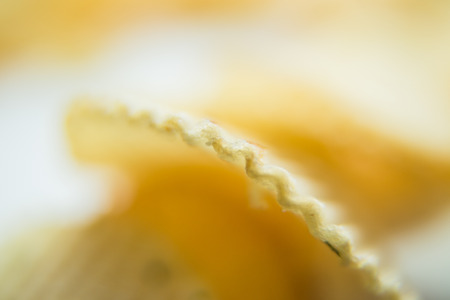 Potato chips bright yellow color is very saltyの写真素材