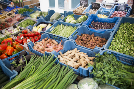 Fresh vegetables and greens on the shelves of the marketの写真素材