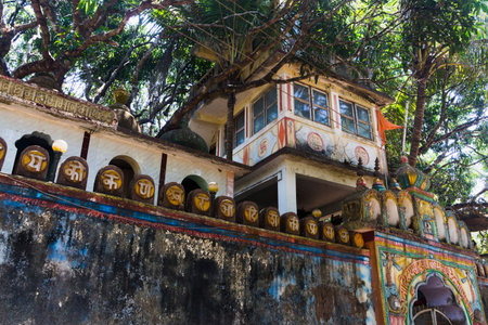 Goa, India, march 14, 2017 ancient abandoned temple in the jungle of India, Goaのeditorial素材