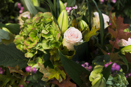Beautiful famous flower market in Amsterdam, Netherlandsの写真素材