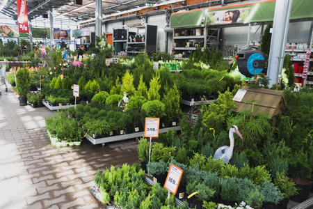 Russia, Moscow August 5, 2017, plants for a beautiful green garden in the OBI storeのeditorial素材