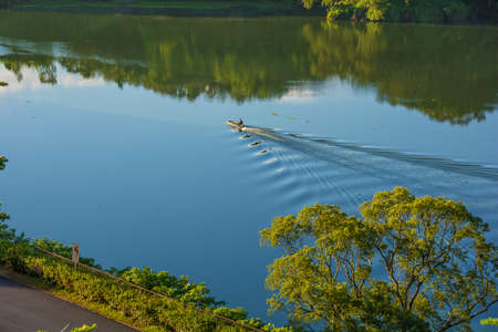 Landscape view of Mae Tam reservoir, Chiang Rai province.の写真素材