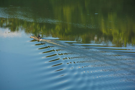 A person paddles across the lake. Reflection of trees in the water.