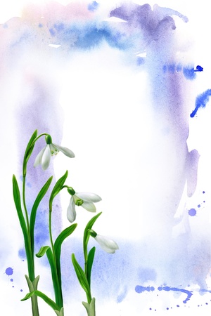 Watercolor blots and snowdrops - bitmapped illustrationの写真素材
