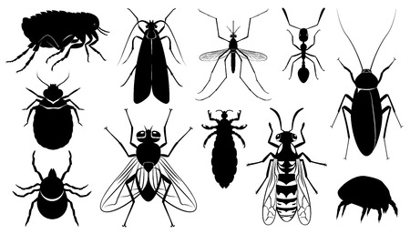 Set of the harmful,dangerous, infection carriers, stinging and parasitizing insects - mosquito, fly, wasp, ixodic tick, bed bug, moth, dust tick, flea, ant, cockroach, louseのイラスト素材