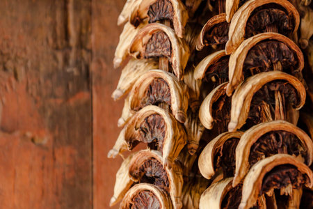 dry areca nut or betel nut or areca catechu for chewing snack .の写真素材