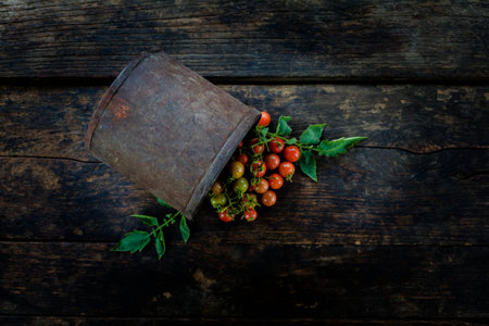 A bunch of fresh red tomatoes On the old dark wooden floor .の写真素材
