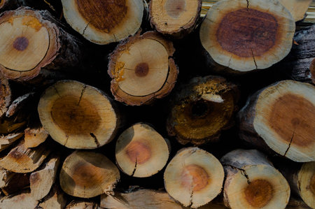 Firewood for the winter, stacks of firewood, pile of firewood.Natural wooden background - closeup of...
