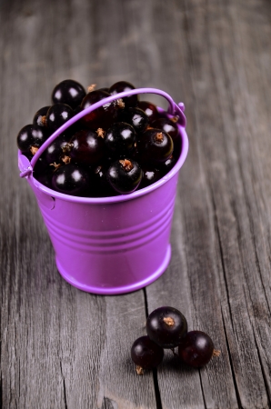 A bucket with a black currantの写真素材