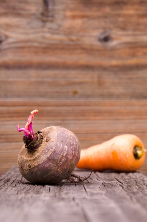 Beets and carrotsの写真素材