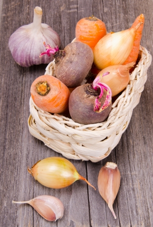 	Vegetables and root vegetables in a basketの写真素材