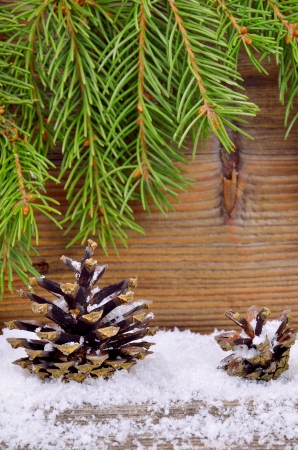 Fir cones in the snowの写真素材