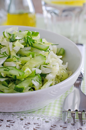 salad of fresh cabbage and cucumber lying portions in white plateの写真素材