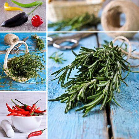 Collage of fresh thyme, rosemary and hot pepperの写真素材