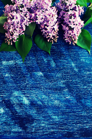 Background with lilac flowers painted on a wooden surfaceの写真素材