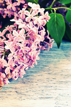 Background with lilac flowers painted on a wooden surfaceの写真素材