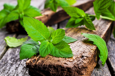Sprigs of fresh green mint on a wooden surfaceの写真素材