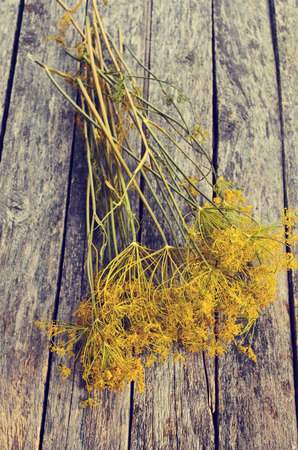 Flowers and stems of dill on a wooden surfaceの写真素材