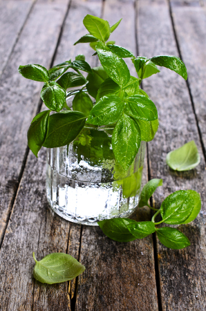 Fresh basil with water drops in a glass container on a wooden surfaceの写真素材