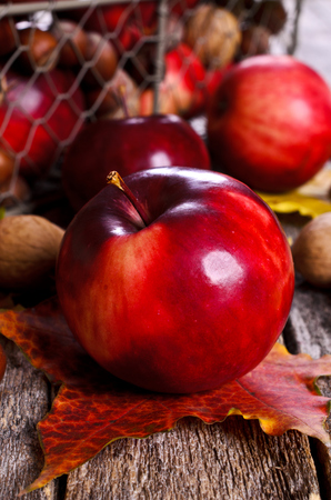 Red Apple on a background of nuts and maple leaves on wooden surfaceの写真素材