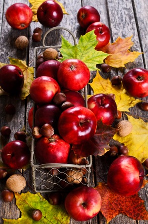 Red Apple on a background of nuts and maple leaves on wooden surfaceの写真素材