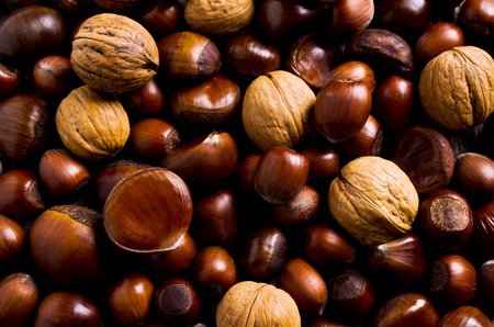 Background of various large brown nuts. Selective focus.の写真素材