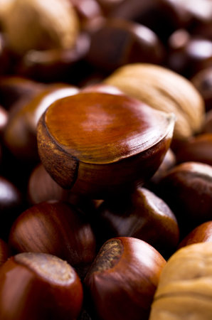 Background of various large brown nuts. Selective focus.