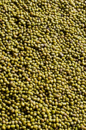 Background of green mung beans. Selective focus.の写真素材
