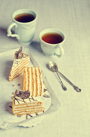 Slices of homemade cake layers and cream on a light background. Selective focus.の写真素材