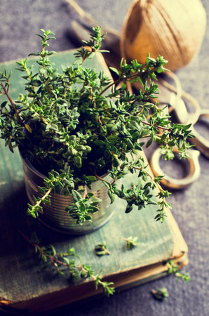 Sprigs of fresh thyme in a can on a dark background. Selective focus.の写真素材