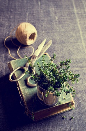 Sprigs of fresh thyme in a can on a dark background. Selective focus.の写真素材