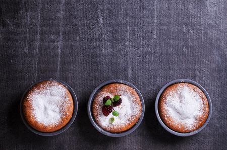 Sweet baked cake with icing sugar and berries on a dark background. Selective focus.の写真素材