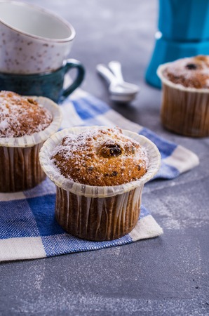 Muffin with raisins and powdered sugar. Selective focus.の写真素材