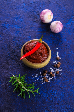Red tomato sauce with spices. Selective focus.の写真素材