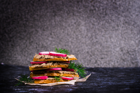 Toast with liver pate and radish on a dark background. Selective focus.の写真素材