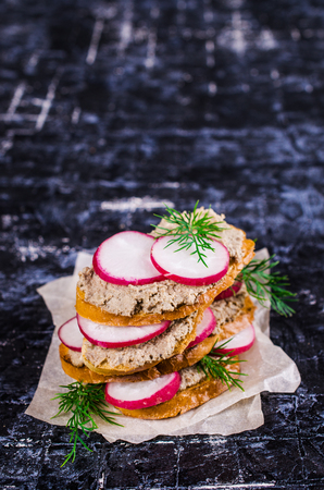 Toast with liver pate and radish on a dark background. Selective focus.の写真素材