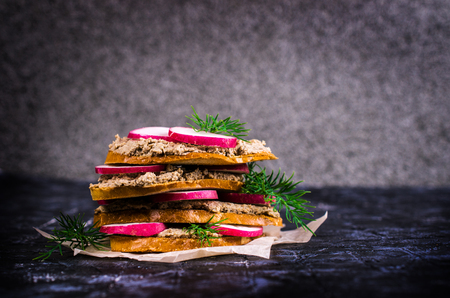 Toast with liver pate and radish on a dark background. Selective focus.の写真素材