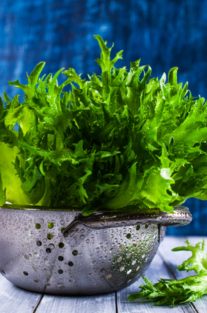 Raw green lettuce with water drops. Selective Focus.の写真素材
