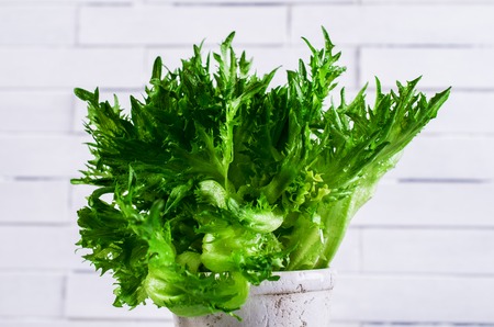 Raw green lettuce with water drops. Selective Focus.の写真素材