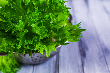 Raw green lettuce with water drops. Selective Focus.の写真素材