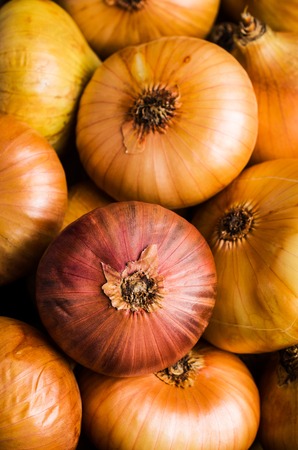 Raw large onion in a box on a wooden background. Selective focus.の写真素材