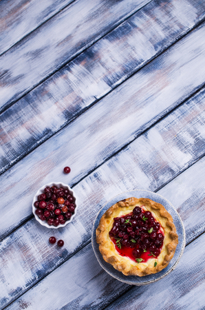 Traditional mini cheese cake with berry sauce on wooden background. Selective focus.の写真素材